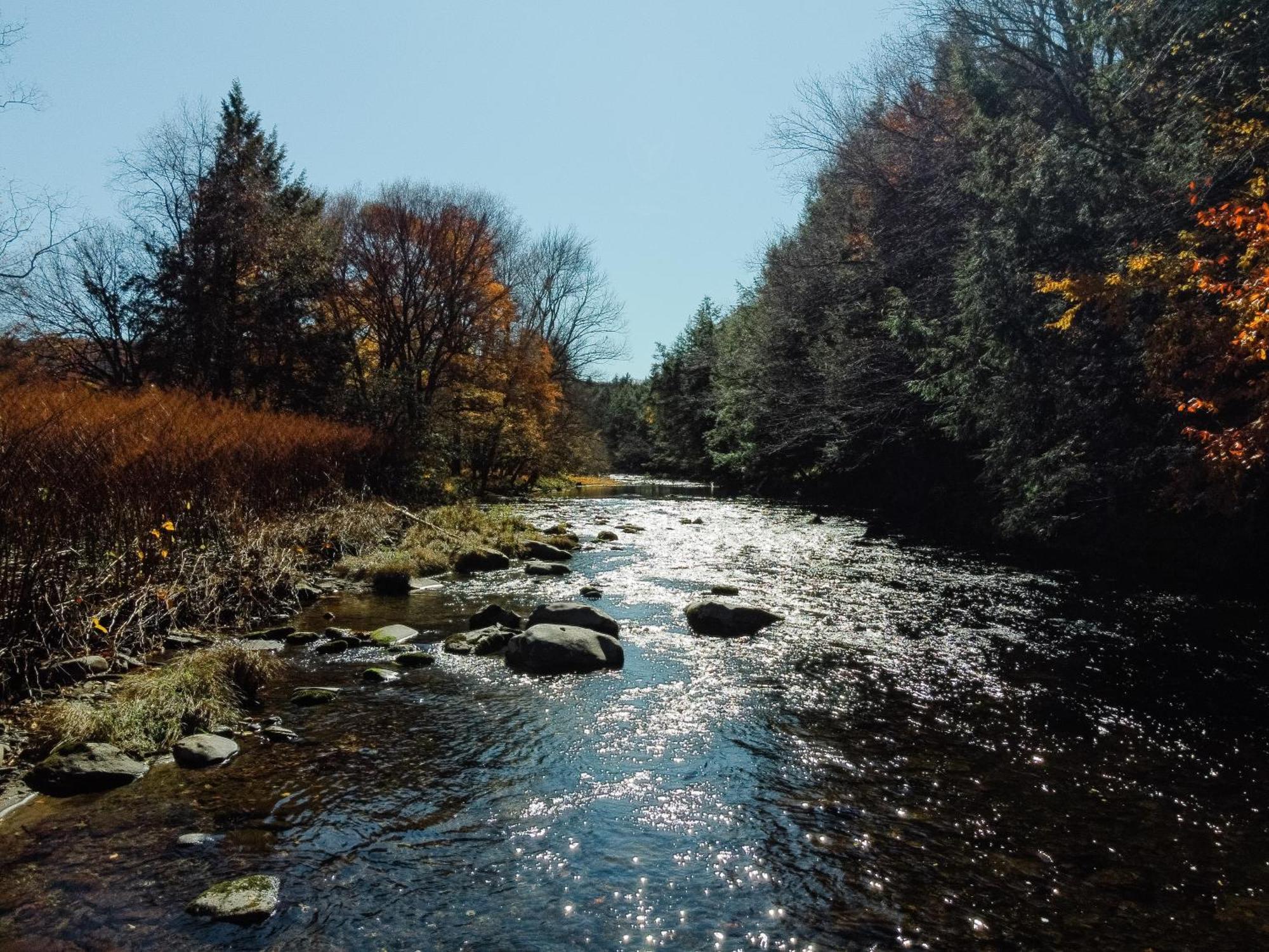 Antrim Streamside Ξενοδοχείο Livingston Manor Εξωτερικό φωτογραφία