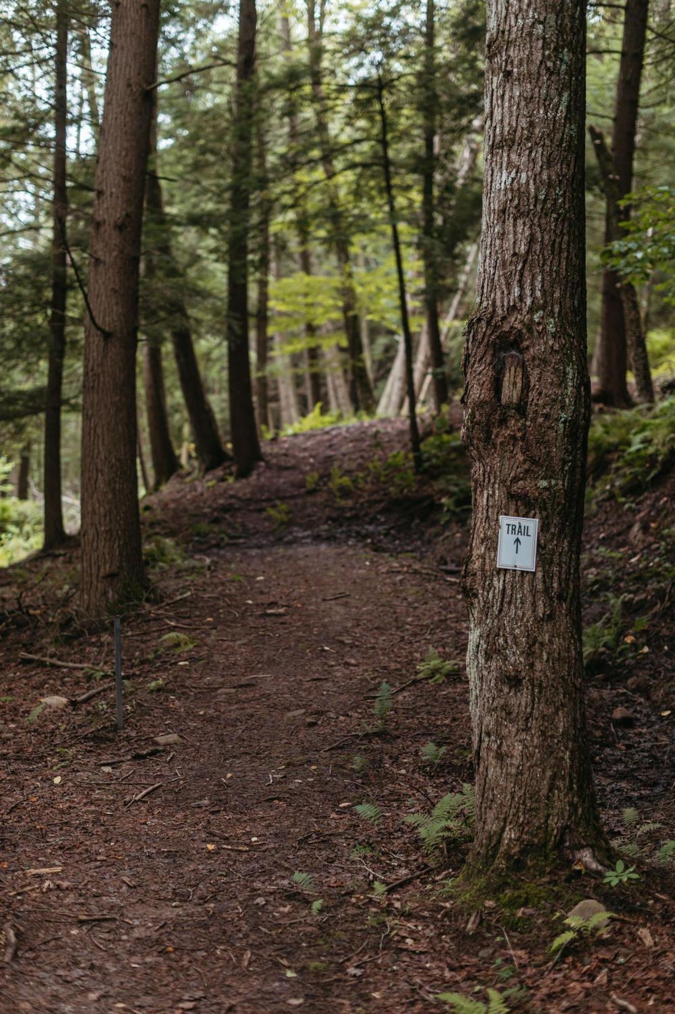 Antrim Streamside Ξενοδοχείο Livingston Manor Εξωτερικό φωτογραφία