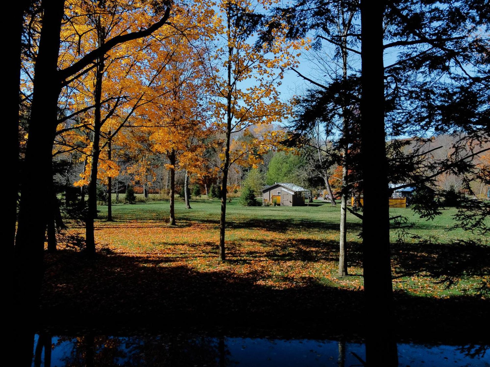 Antrim Streamside Ξενοδοχείο Livingston Manor Εξωτερικό φωτογραφία