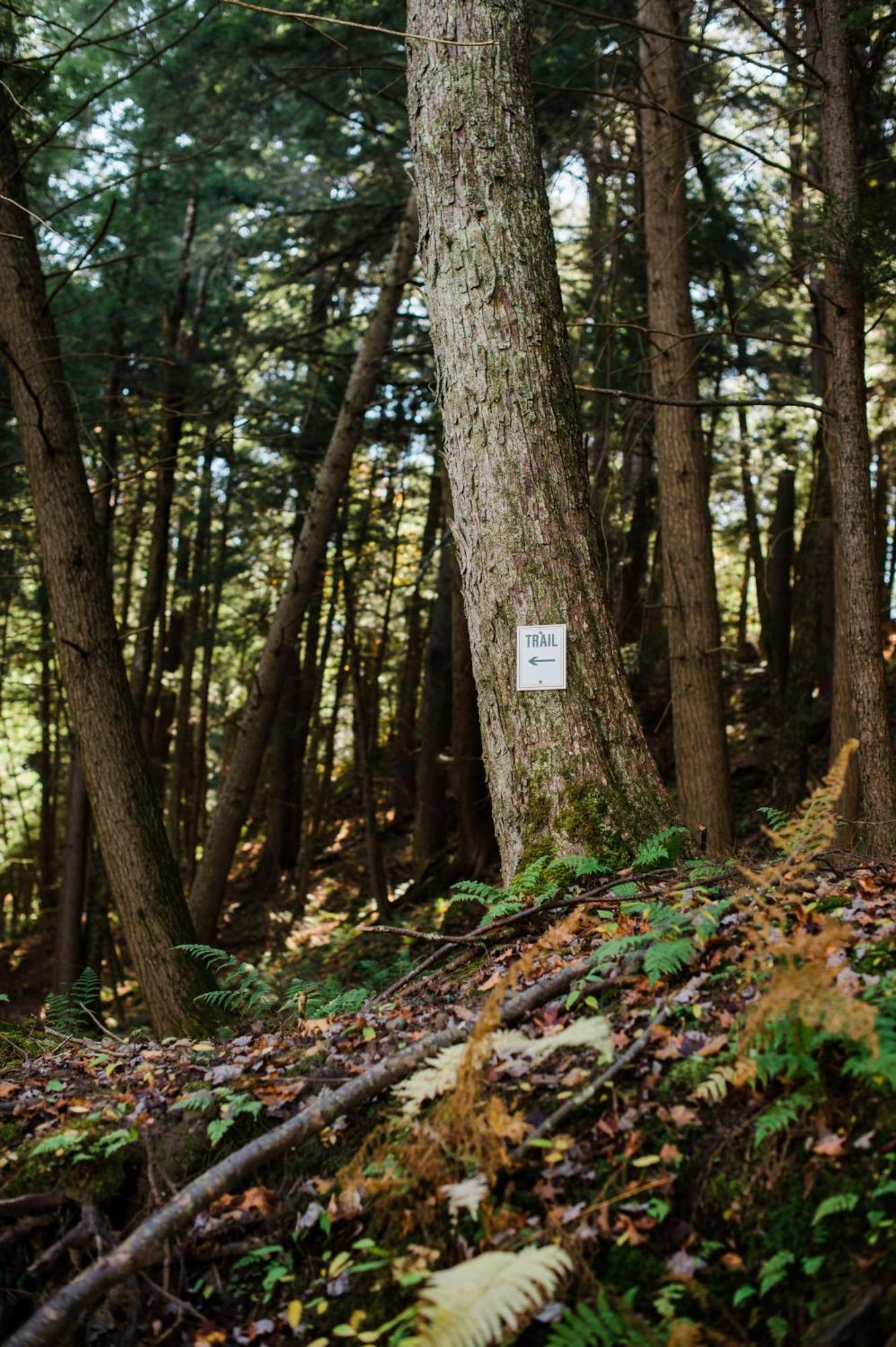 Antrim Streamside Ξενοδοχείο Livingston Manor Εξωτερικό φωτογραφία